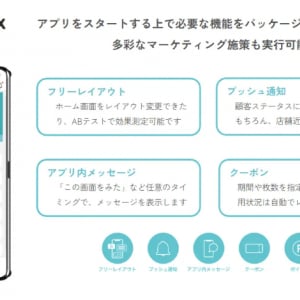 アイリッジ、「APPBOX」においてスクラッチ開発も可能なパッケージサービスを提供開始