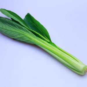 5月27日は「小松菜の日」！だけど、小松菜の旬は冬なんです！！ではなぜこの日が記念日に？？