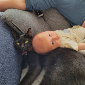 乳児が泣き出すも手が回らない状況・・・乳児はすぐに泣き止み、なぜかと思ったら黒猫が肩を貸していた！！