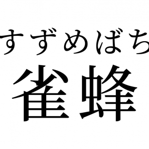 【読めたらスゴイ！】「雀蜂」って何のこと！？よく知っている生き物だった！この漢字、あなたは読めますか？