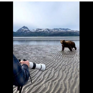 アラスカのツアーガイドがヒグマを追い払う動画が注目集める