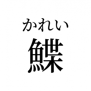 【読めたらスゴイ！】「鰈」って何のこと！？魚の名前だよね！？この漢字、あなたは読めますか？