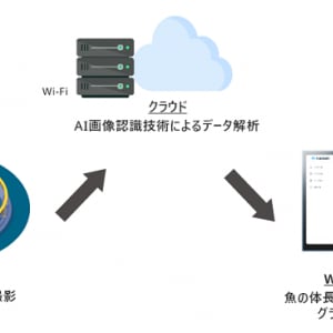 「AI魚体サイズ測定カメラ」に新機能。より深い環境での使用やブリの魚体重予測が可能に