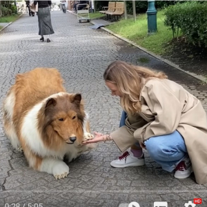 動物になりたいという夢を叶えて犬になった人の動画が海外で話題 「日本には変わった人が多い」「さすがに犬は騙せないんだな」