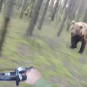 クマに襲われてチャリで逃げる動画が4000万再生突破！ 振り向くと熊が猛ダッシュ