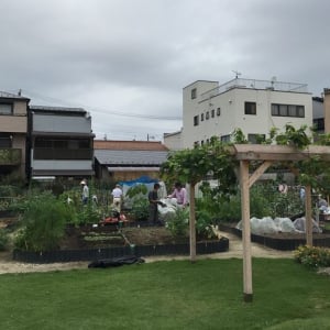 誰でも収穫して食べてOKな農園も!? 公園の一角やビル屋上などに都市型農園が増加中！ 『まちを変える都市型農園』新保奈穂美さんに聞く3事例