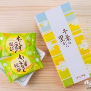 新しいのにどこか懐かしい味♪ 『ちーずみるく饅頭』は洋菓子派も大満足の洋風饅頭