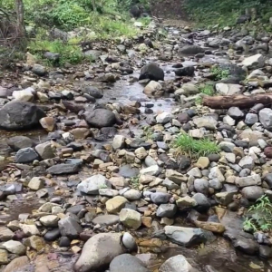 【甘く見てはいけない】川の怖さがよく分かる動画に驚愕！僅かな時間ですぐに増水することを知ってほしい！