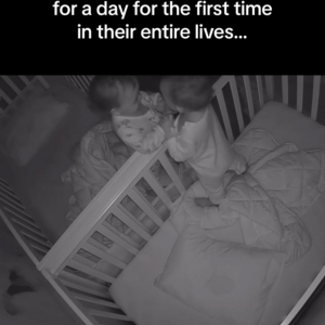 1日離れ離れになった双子の赤ちゃんの再会を捉えた見守りカメラの映像がかわいすぎると話題！