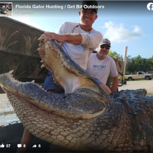 フロリダで捕獲された巨大ワニが話題 「デカすぎる」「もはや恐竜」