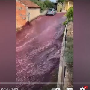 「ハッピーアワー!?」「この洪水に飲み込まれてみたい」 ポルトガルで発生した赤い洪水の正体とは？