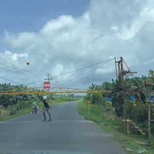 道路を横断バナナ！？コスタリカの驚愕の珍光景！！【海外・動画】
