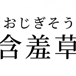 【読めたらスゴイ！】「含羞草」って何のこと！？とっても奇妙な動きをする植物！？？この漢字、あなたは読めますか？