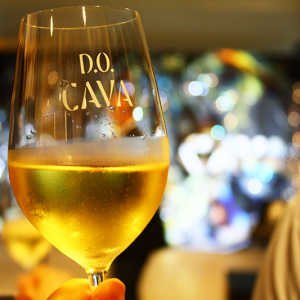 スペイン大使館 CAVA DISCOVERY MUSEUM でスペイン産スパークリングワイン CAVA の世界と歴史を体感！ 10/5まで入場無料で開催、各日先着50名は試飲も！