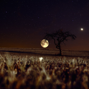 美しい月が見られる「十五夜」、その由来とは？いつどこで始まった風習なの？？