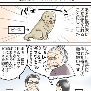 感動！不思議な絆で結ばれた愛犬とおばあちゃんのお話