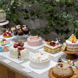 ゲーム感覚・バニラ・萌え断…スイーツ専門通販サイト「Cake.jp」が発表する今年のクリスマスケーキのトレンドは？