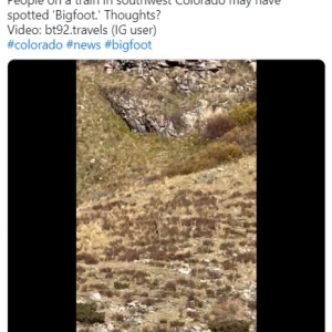 米コロラド州で「ビッグフットの映像」が撮影される →多くの視聴者から疑問の声「カメラのズーム機能を知らないの？」「毛並みが綺麗」