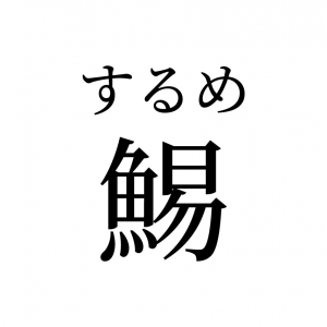 【読めたらスゴイ！】「鯣」って何のこと！？魚の名前かと思いきや、ちょっと違う！？この漢字、あなたは読めますか？
