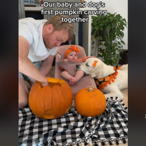 愛娘と愛犬のためのハロウィンコスチュームをかぼちゃで作ったお父さん 「愛情が無限大」「文句なしの優勝」