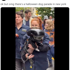 ニューヨークでハロウィン・ドッグ・パレードが開催 「ワンコの本音を聞いてみたい」「いつか参加したいイベントです」