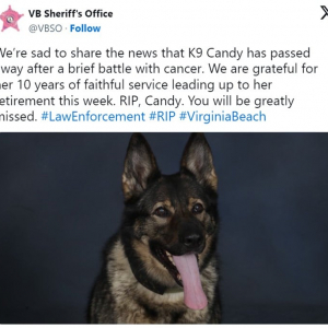 癌と診断された警察犬の最終出勤日の映像 「長い間ご苦労様でした」「なぜか涙が止まりません」