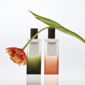 自然からインスパイアされた、強く新しい香り― LOEWE  Elixirs（ロエベ エリクシール）が誕生