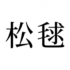 【読めたらスゴイ！】「松毬」とは一体何のこと！？秋になると集めたくなる！？この漢字、あなたは読めますか？