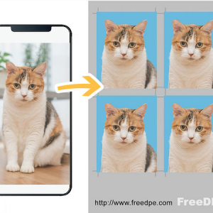 スマホから、本格的な証明写真を作れる「FreeDPE」が有料機能を新料金に改定