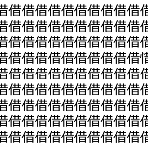 【脳トレ】「借」の中に紛れて1つ違う文字がある！？あなたは何秒で探し出せるかな？？【違う文字を探せ！】