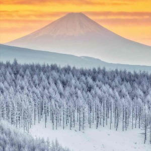 霧ヶ峰から撮影された幻想的な富士山。ハッシュタグ「誰にも負けない最強の1枚を見せて」に投稿された景色が圧巻！！