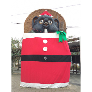 【滋賀県甲賀市】信楽駅前の大たぬき、サンタの衣装に衣替え。信楽高原鐵道のサンタ列車も