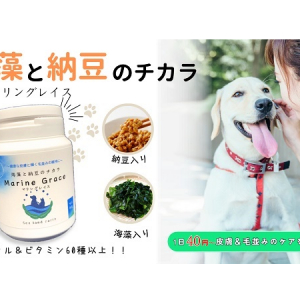 海藻と納豆を配合した犬用健康補助食品「マリングレイス」、Makuakeで販売！