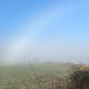 霧が生んだ絶景。愛犬の散歩に出かけたら目前に広がったのは・・、珍しい自然現象「白虹」です！！【海外・動画】