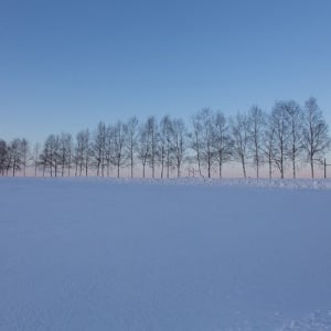 道民以外はきっと知らない北海道の冬の常識！北海道の冬を舐めるな！