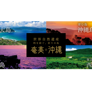 『世界⾃然遺産「奄美・沖縄」』WEBサイトが奄美⼤島の魅⼒を伝えるコンテンツを公開