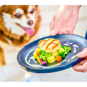【神奈川県横須賀市】湘南国際村の「THE HOUSE FARM」に、愛犬がリードフリーで食事できるエリアが誕生！