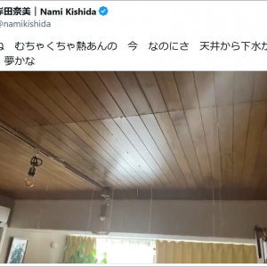 作家・岸田奈美先生の家が大惨事！ 天井から大量の下水が流れ落ちる！ しかも「ヤバイもの」も落ちてきた