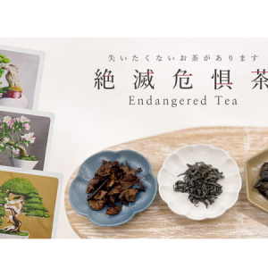 里地里山の保全につながる希少な「絶滅危惧茶」発売開始。初期導入店はホテル椿山荘東京