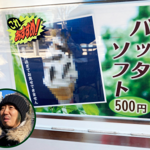 たぶん日本で一番ヤバいソフトクリーム「バッタソフト」を食べてきた！ うわああああああっ！！