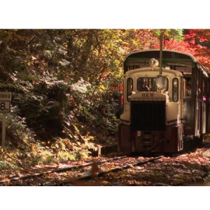 【長野県木曽郡】森林鉄道に関するギャラリー＆シンポジウムイベント「木曽森林鉄道フォーラム」