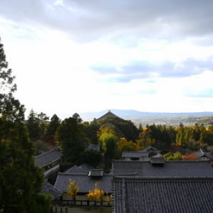 【奈良市】 写真映えする「新・南都八景」撮影スポット、世界遺産登録25周年で制定
