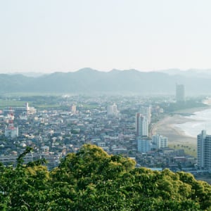 【千葉県鴨川市】市街地を一望し、大山千枚田に癒される