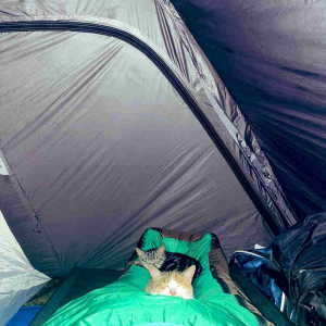 テントで寝ていたら足元に重さを感じる・・・。恐る恐る写真を撮ってみると・・・、そこにいたのはなんと？！？！