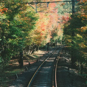 叡山電車沿線の紅葉を楽しむ。もみじのトンネルに貴船神社・京都