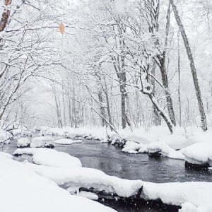 【青森県十和田市】冬の奥入瀬渓流をグリスロで楽しむツアー＆スノーシューで森を散策するツアー実施