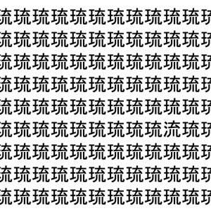 【脳トレ】「琉」の中に紛れて1つ違う文字がある！？あなたは何秒で探し出せるかな？？【違う文字を探せ！】