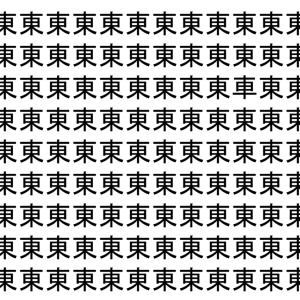 【脳トレ】「東」の中に紛れて1つ違う文字がある！？あなたは何秒で探し出せるかな？？【違う文字を探せ！】