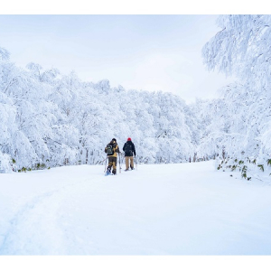 【北海道登別市】オロフレ峠の樹氷や登別の絶景を大パノラマで楽しめるスノーシューツアー開催中！