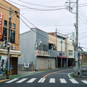 【千葉県旧八日市場市(匝瑳市)】昔ながらのまちなみと、松山庭園美術館へ